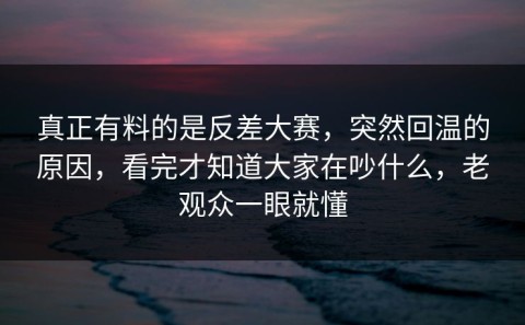 真正有料的是反差大赛，突然回温的原因，看完才知道大家在吵什么，老观众一眼就懂